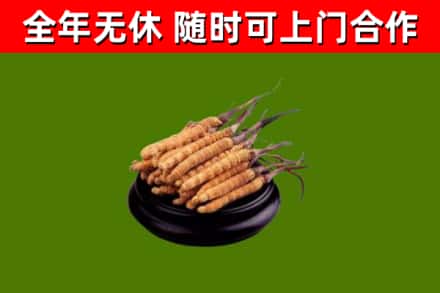 基隆回收冬虫夏草