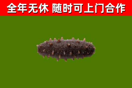 基隆回收海参干